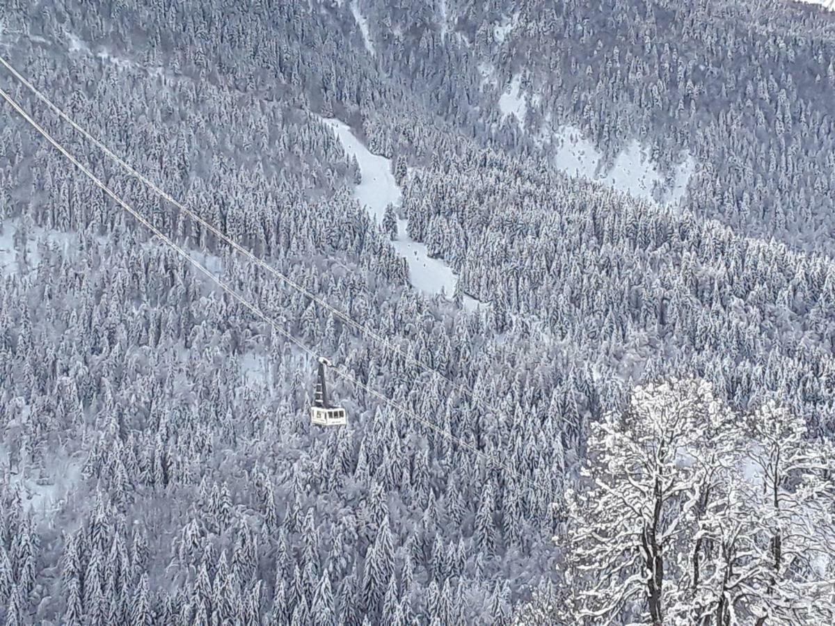L'Aigle Royal Apartment Vaujany Luaran gambar